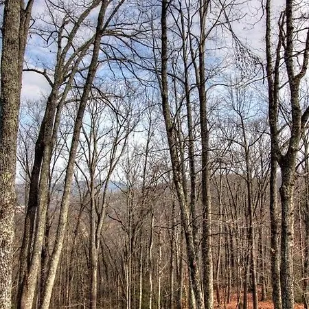 Secluded Memories Cabin